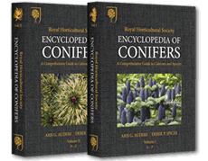 Encyclopedia of Conifers A Comprehensive Guide to Cultivars and Species 